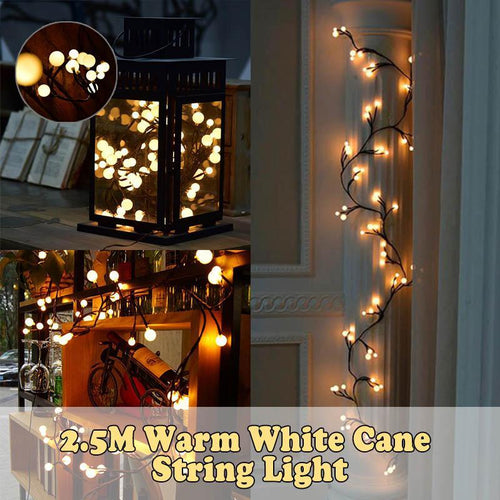 2.5M Fairy Lights LED Cane String Light - MYTONSEE